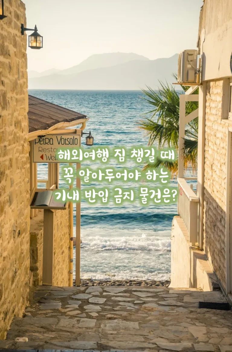 해외여행 짐 챙길 때 꼭 알아두어야 하는 기내 반입 금지 물건은?