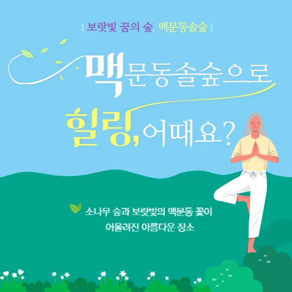 보랏빛 꿈의 숲, 상주 맥문동솔숲에서 힐링여행하기 보랏빛 꿈의 숲, 상주 맥문동솔숲에서 힐링여행하기