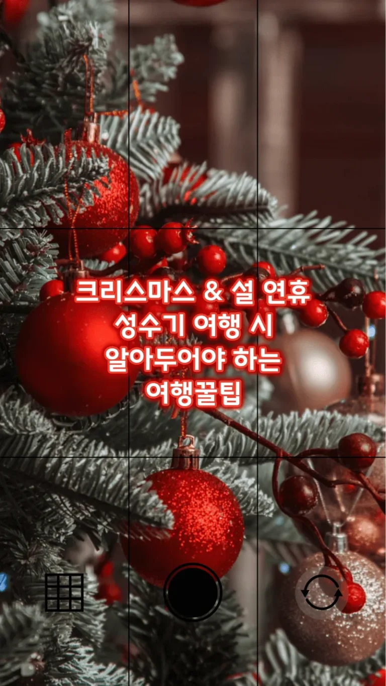 크리스마스 & 설 연휴 성수기 여행 시 알아두어야 하는 여행꿀팁
