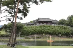 image-slider-with-thumbnail8.jpeg