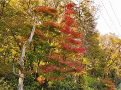 image-slider-with-thumbnail6.jpeg