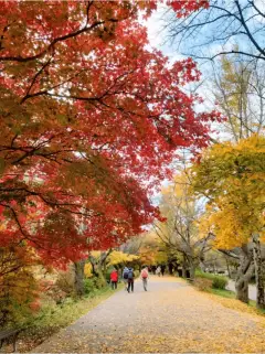 image-slider-with-thumbnail1.jpeg
