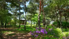 image-slider-with-thumbnail6.jpeg