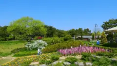 image-slider-with-thumbnail3.jpeg