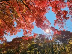 image-slider-with-thumbnail3.jpeg