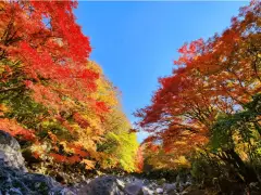image-slider-with-thumbnail2.jpeg