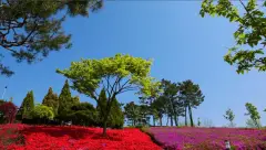 image-slider-with-thumbnail5.jpeg