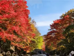 image-slider-with-thumbnail4.jpeg