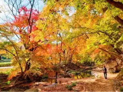 image-slider-with-thumbnail6.jpeg