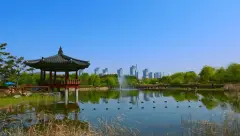 image-slider-with-thumbnail2.jpeg