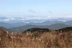 image-slider-with-thumbnail1.jpeg