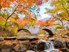 image-slider-with-thumbnail4.jpeg
