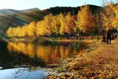 image-slider-with-thumbnail2.jpeg