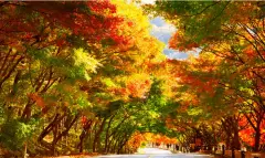 image-slider-with-thumbnail4.jpeg