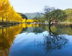 image-slider-with-thumbnail1.jpeg