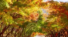 image-slider-with-thumbnail3.jpeg
