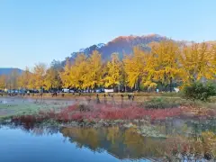 image-slider-with-thumbnail4.jpeg